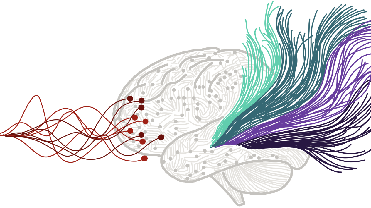 Harnessing Chaos: How the Brain Turns Randomness Into Robust Memory